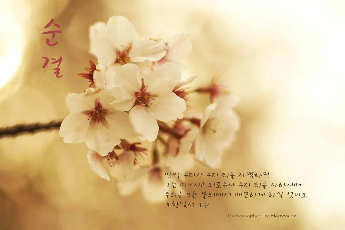 순결 만일 우리가 우리 죄를 자백하면 그는 미쁘시고 의로우사 우리 죄를 사하시며 우리를 모든 불의에서 깨끗하게 하실 것이요