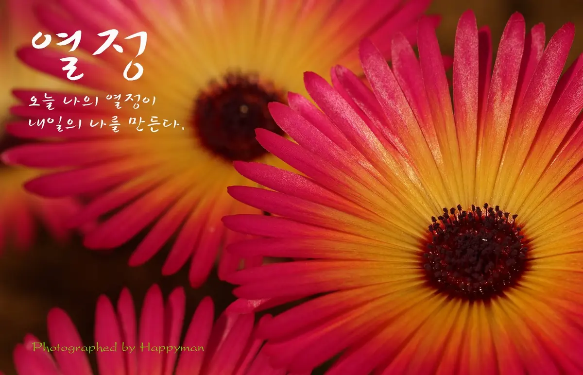열정 오늘 나의 열정이 내일의 나를 만든다.